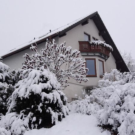 Apartmán Ferienwohnnung Ruth - Familienurlaub Im Erzgebirge Langenbach  Exteriér fotografie
